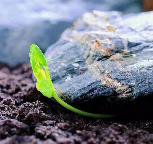 梦想起飞的地方